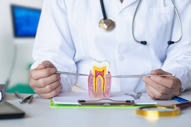 Best Pediatric Emergency Dentist in East Dublin, GA